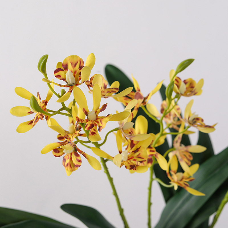 Umjetna Phalaenopsis orhideja, dvije grane i lišće, dekor za dnevni boravak u milanskom novokineskom stilu
