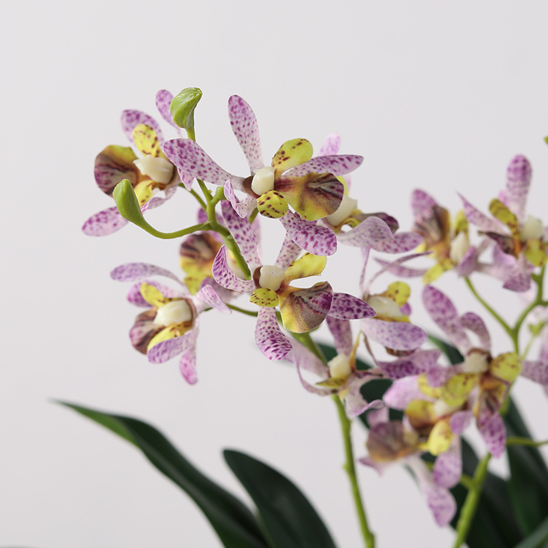 Umjetna Phalaenopsis orhideja, dvije grane i lišće, dekor za dnevni boravak u milanskom novokineskom stilu