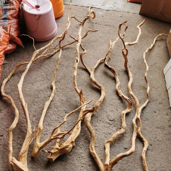 Διακόσμηση ενυδρείου με driftwood, ρίζα Azalea, μακριά κλαδιά και χαρακτική ρίζας — φυσικό στυλ τροπικού δάσους