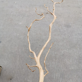 Διακόσμηση ενυδρείου με driftwood, ρίζα Azalea, μακριά κλαδιά και χαρακτική ρίζας — φυσικό στυλ τροπικού δάσους