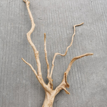 Διακόσμηση ενυδρείου με driftwood, ρίζα Azalea, μακριά κλαδιά και χαρακτική ρίζας — φυσικό στυλ τροπικού δάσους