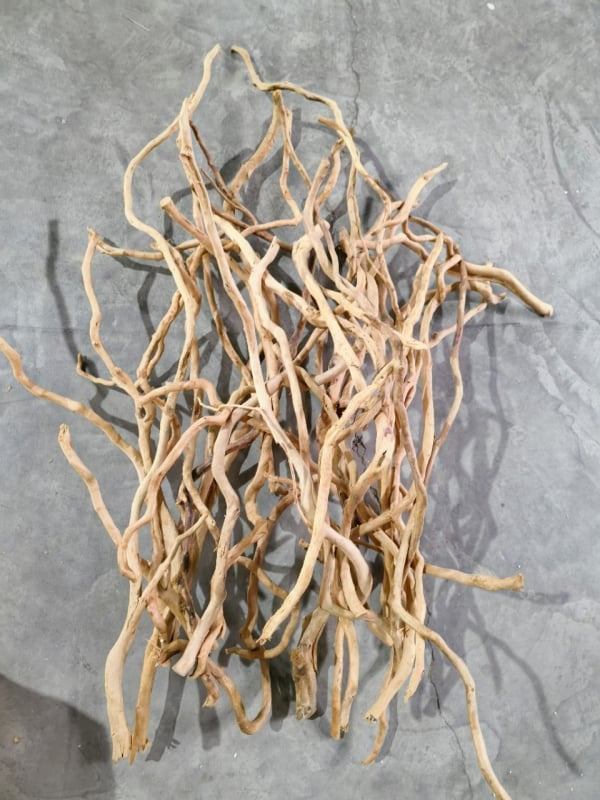 Διακόσμηση ενυδρείου με driftwood, ρίζα Azalea, μακριά κλαδιά και χαρακτική ρίζας — φυσικό στυλ τροπικού δάσους