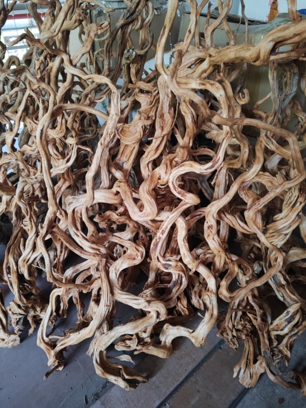 Διακόσμηση ενυδρείου με driftwood, ρίζα Azalea, μακριά κλαδιά και χαρακτική ρίζας — φυσικό στυλ τροπικού δάσους