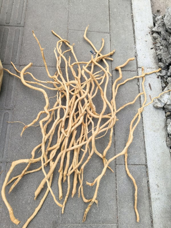 Διακόσμηση ενυδρείου με driftwood, ρίζα Azalea, μακριά κλαδιά και χαρακτική ρίζας — φυσικό στυλ τροπικού δάσους