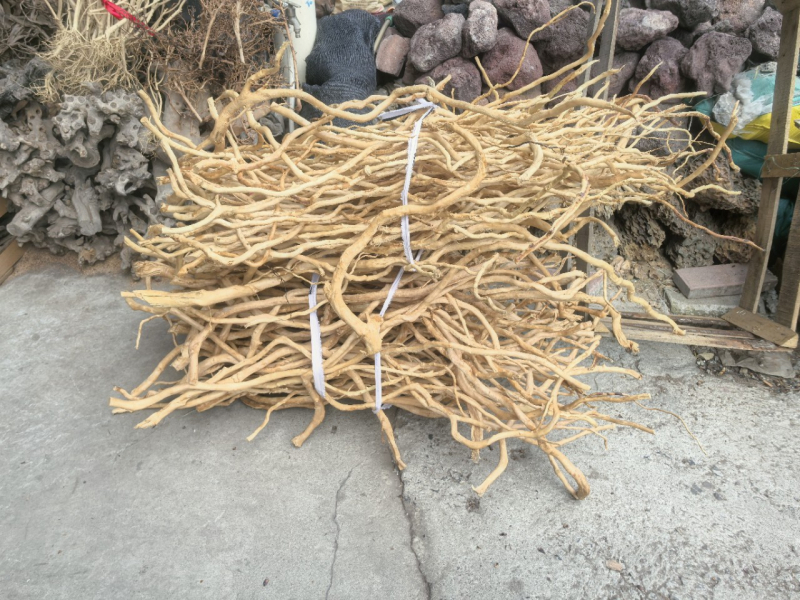 Διακόσμηση ενυδρείου με driftwood, ρίζα Azalea, μακριά κλαδιά και χαρακτική ρίζας — φυσικό στυλ τροπικού δάσους