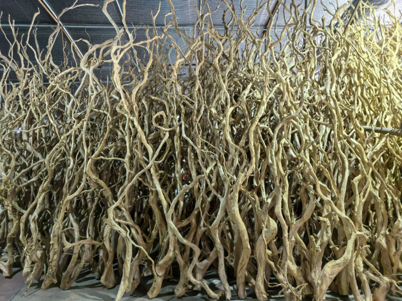 Διακόσμηση ενυδρείου με driftwood, ρίζα Azalea, μακριά κλαδιά και χαρακτική ρίζας — φυσικό στυλ τροπικού δάσους