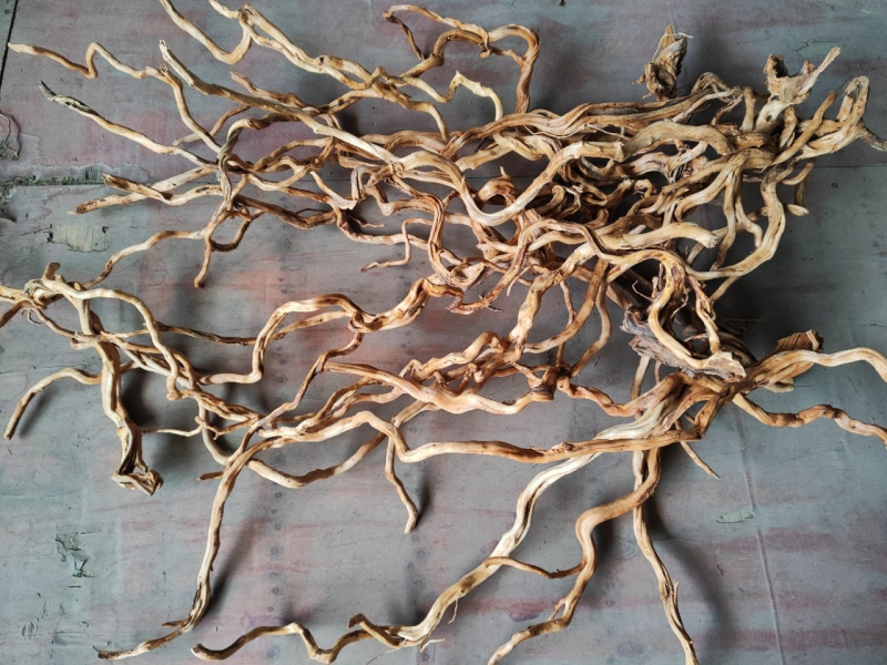 Διακόσμηση ενυδρείου με driftwood, ρίζα Azalea, μακριά κλαδιά και χαρακτική ρίζας — φυσικό στυλ τροπικού δάσους