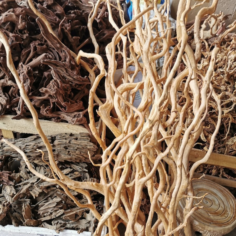 Διακόσμηση ενυδρείου με driftwood, ρίζα Azalea, μακριά κλαδιά και χαρακτική ρίζας — φυσικό στυλ τροπικού δάσους