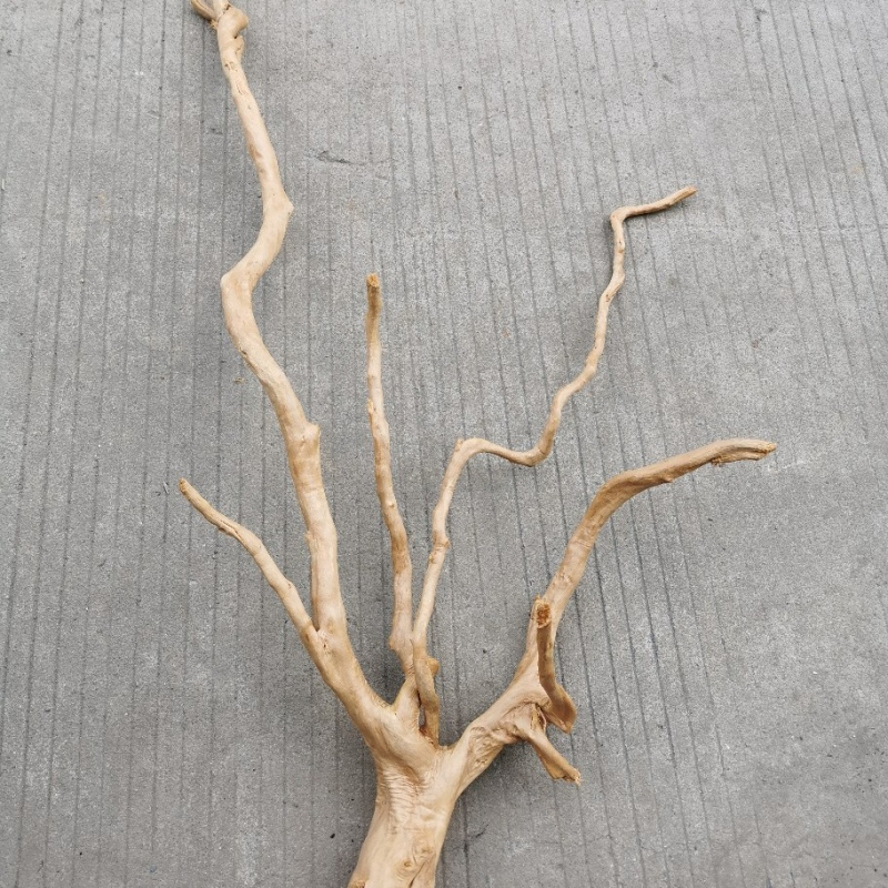 Διακόσμηση ενυδρείου με driftwood, ρίζα Azalea, μακριά κλαδιά και χαρακτική ρίζας — φυσικό στυλ τροπικού δάσους