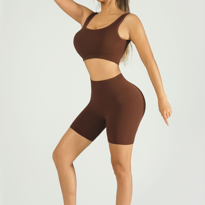 Ženski dvodijelni fitness set: sportski grudnjak s visokim strukom, bezšiven i s podstavom; jogalne šortse do tri četvrtine, najlon/spandex