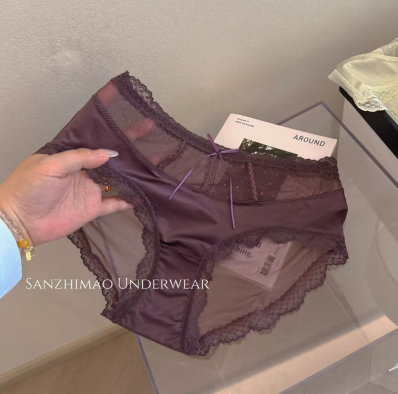 Francuski stil prozračnih čipkastih gaćica za žene, mrežasti materijal, srednje visoka talija, pokrivaju bokove, tanki materijal