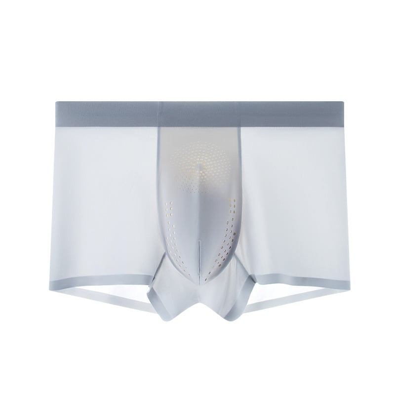 Ljetne muške bokserice od ledenog svile, bezšivne, izuzetno tanke, prozračne, antibakterijske, boxer briefs, velike veličine