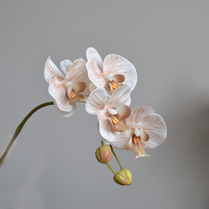 Umjetna orhideja Phalaenopsis za kućnu dekoraciju, s 9 i 7 cvjetova, u stilu wabi-sabi, za fotografiranje i hotelsku dekoraciju