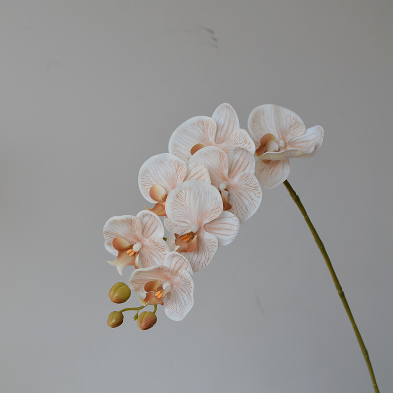 Umjetna orhideja Phalaenopsis za kućnu dekoraciju, s 9 i 7 cvjetova, u stilu wabi-sabi, za fotografiranje i hotelsku dekoraciju