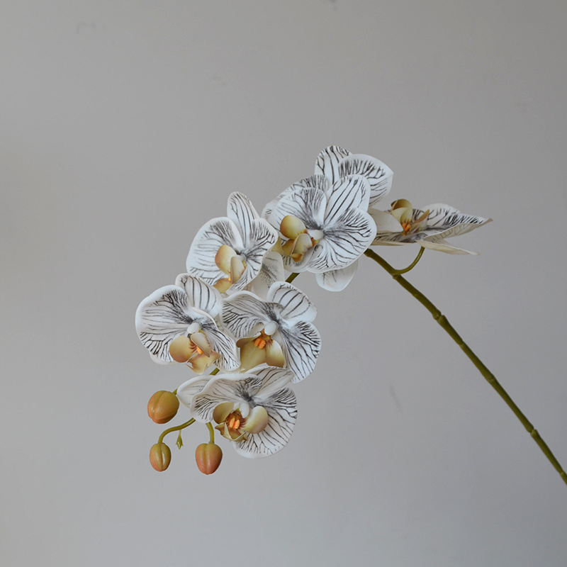 Umjetna orhideja Phalaenopsis za kućnu dekoraciju, s 9 i 7 cvjetova, u stilu wabi-sabi, za fotografiranje i hotelsku dekoraciju