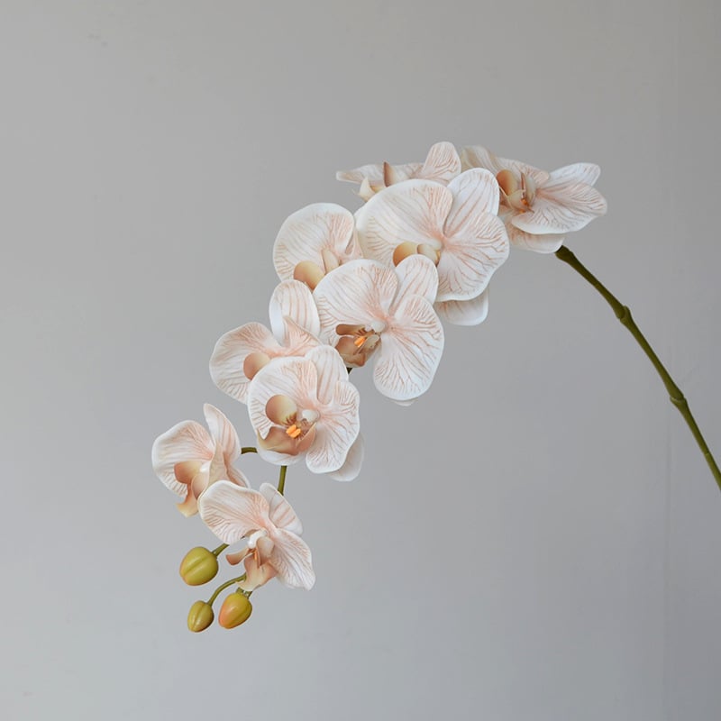 Umjetna orhideja Phalaenopsis za kućnu dekoraciju, s 9 i 7 cvjetova, u stilu wabi-sabi, za fotografiranje i hotelsku dekoraciju