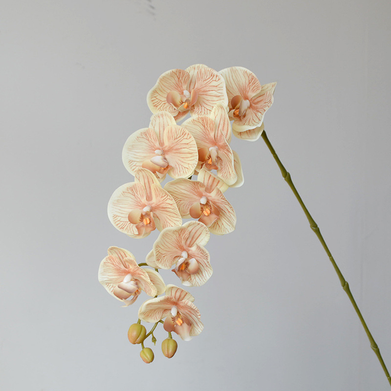 Umjetna orhideja Phalaenopsis za kućnu dekoraciju, s 9 i 7 cvjetova, u stilu wabi-sabi, za fotografiranje i hotelsku dekoraciju