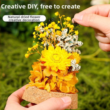 DIY súprava na dekoráciu so sklenenou kupolou a večnými kvetmi — sušené kvety, darček ku Dňu matiek