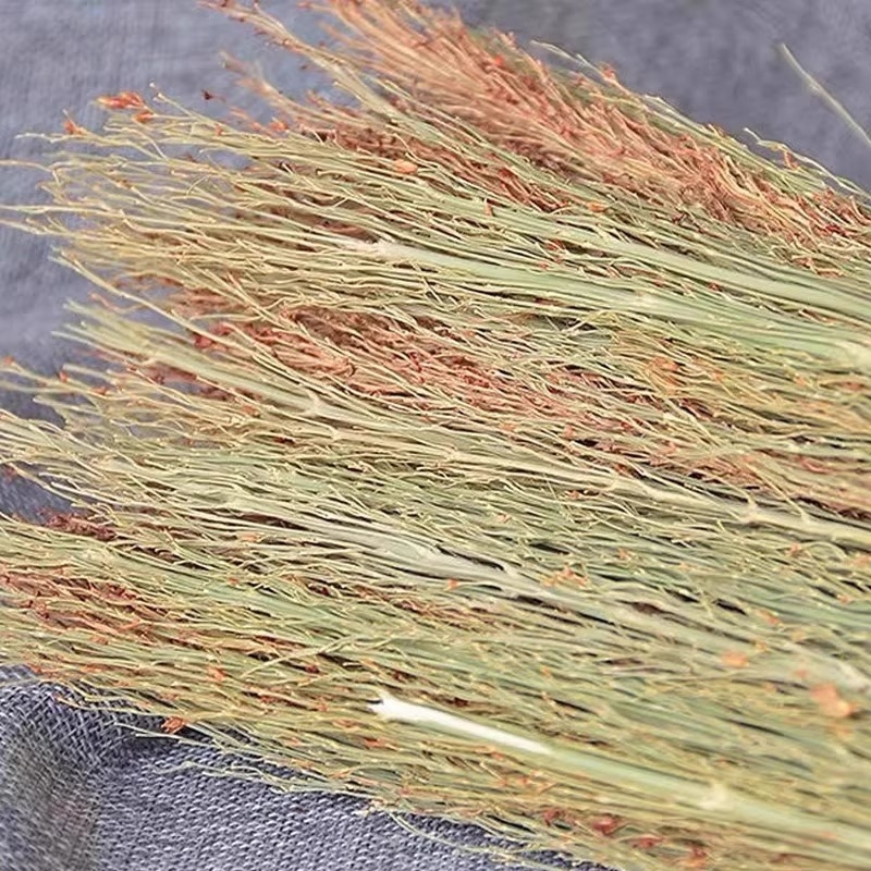 Ručna četka od sorga, namijenjena kućnoj uporabi, tradicionalna četka za posuće i kuhinju