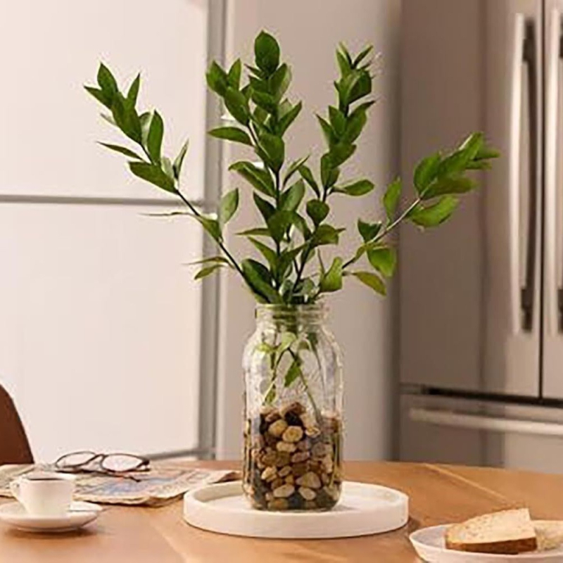 Stakleni Mason-jar s čepom – za med, džem, smoothie, zobene pahuljice, suho voće i žitarice