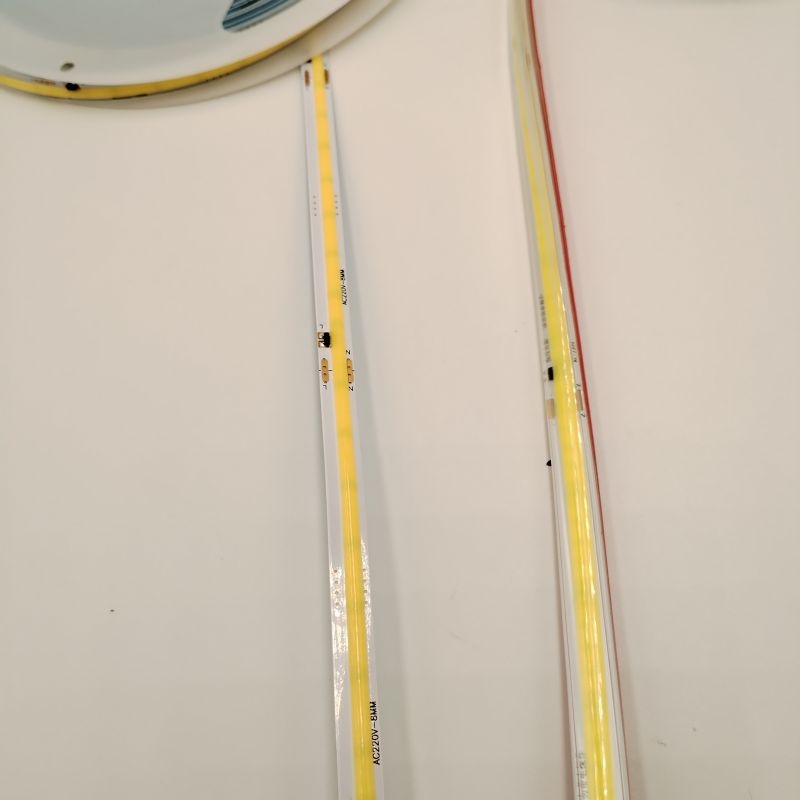 COB LED trak 220V, vodootporna vanjska silikon LED traka za bazen