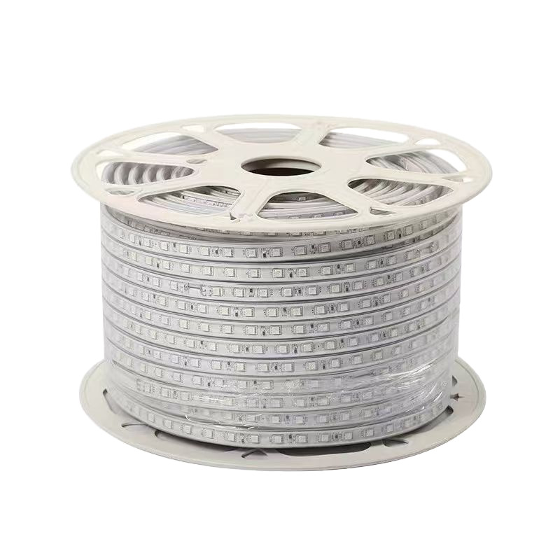 220V RGB LED traka 5050 za vanjsku upotrebu, vodootporna IP67, daljinsko upravljanje, promjena boje, reklamno osvjetljenje projekata
