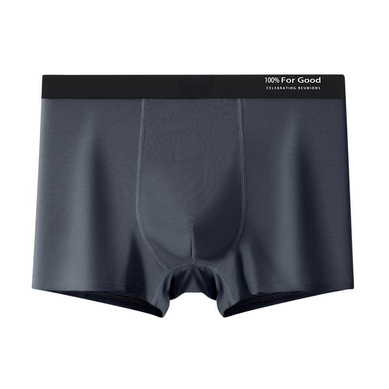 Muške bokserice od Ice Silk, udoban slobodan kroj, prozračne ljetno donje rublje, antibakterijske, velike veličine