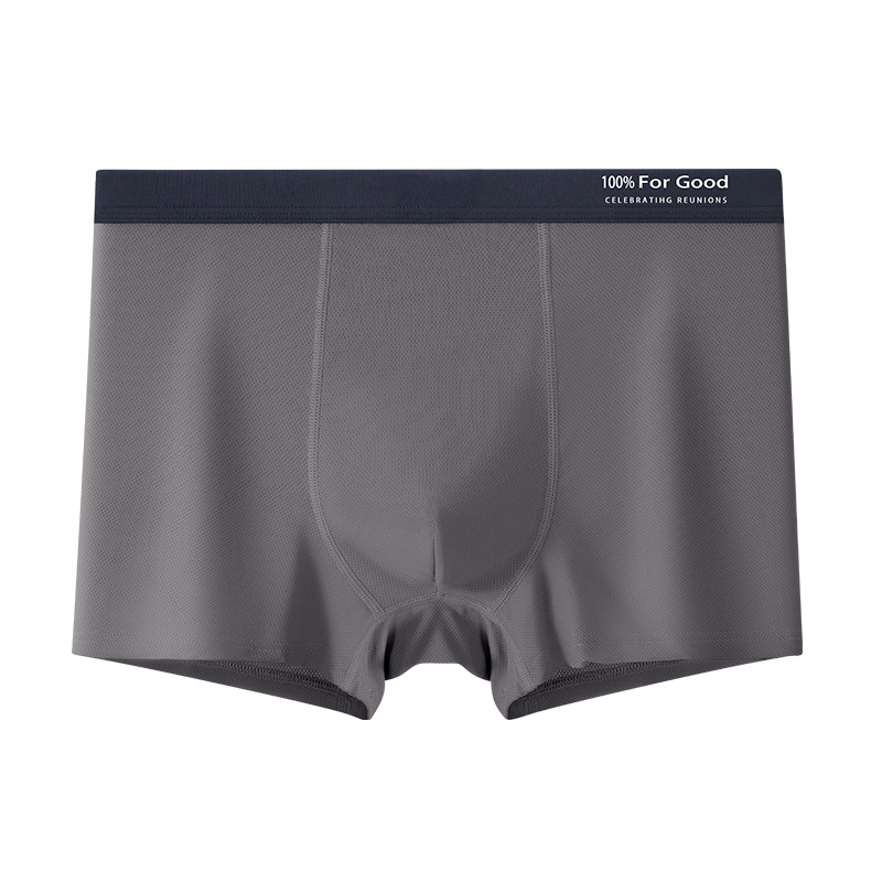 Muške bokserice od Ice Silk, udoban slobodan kroj, prozračne ljetno donje rublje, antibakterijske, velike veličine