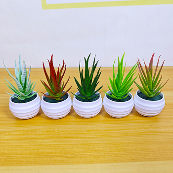 Umjetna sukulentna biljka u loncu – Aloe vera bonsai za dom i dekoraciju