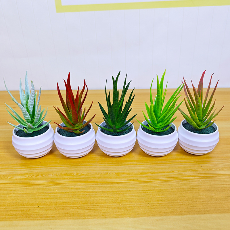 Umjetna sukulentna biljka u loncu – Aloe vera bonsai za dom i dekoraciju