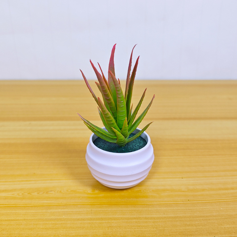 Umjetna sukulentna biljka u loncu – Aloe vera bonsai za dom i dekoraciju