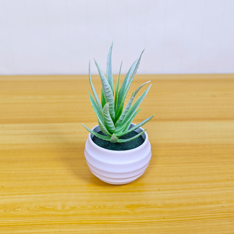 Umjetna sukulentna biljka u loncu – Aloe vera bonsai za dom i dekoraciju