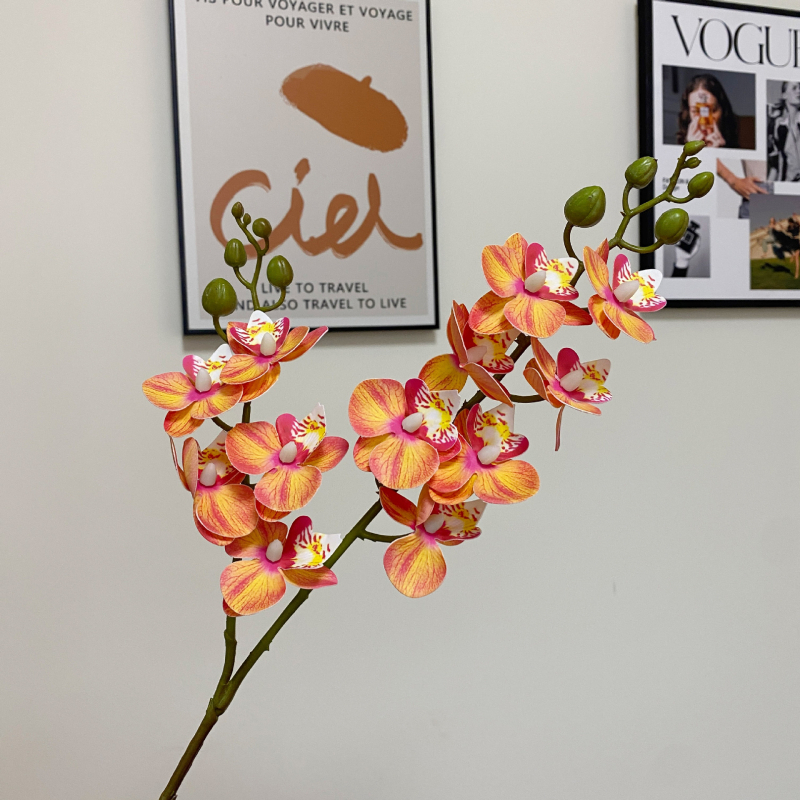 Mini umjetni Phalaenopsis cvijet – realistična dekoracija za dnevni boravak, stol za kavu ili TV ormarić