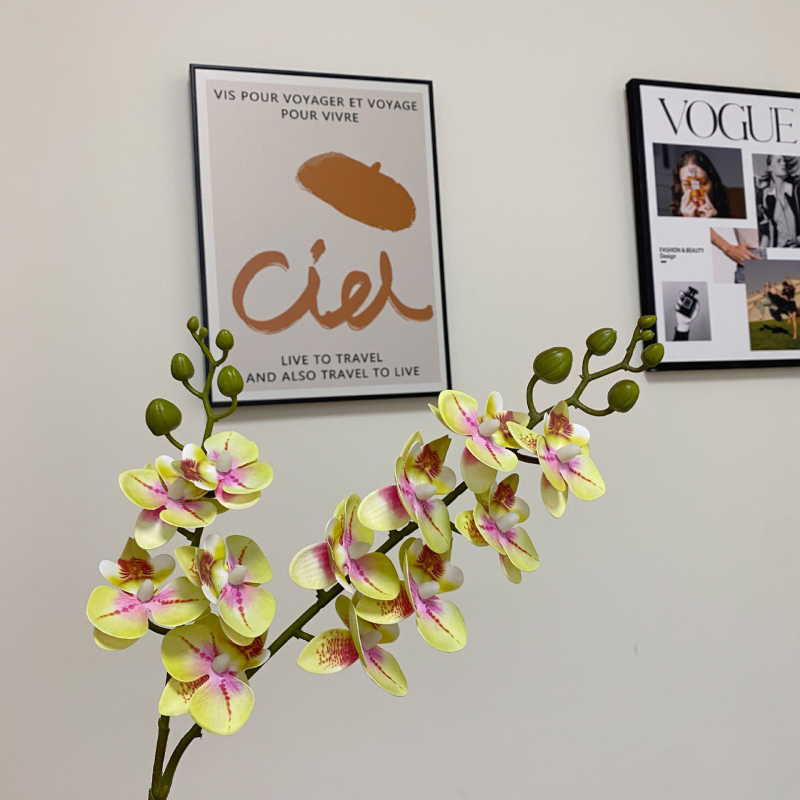 Mini umjetni Phalaenopsis cvijet – realistična dekoracija za dnevni boravak, stol za kavu ili TV ormarić