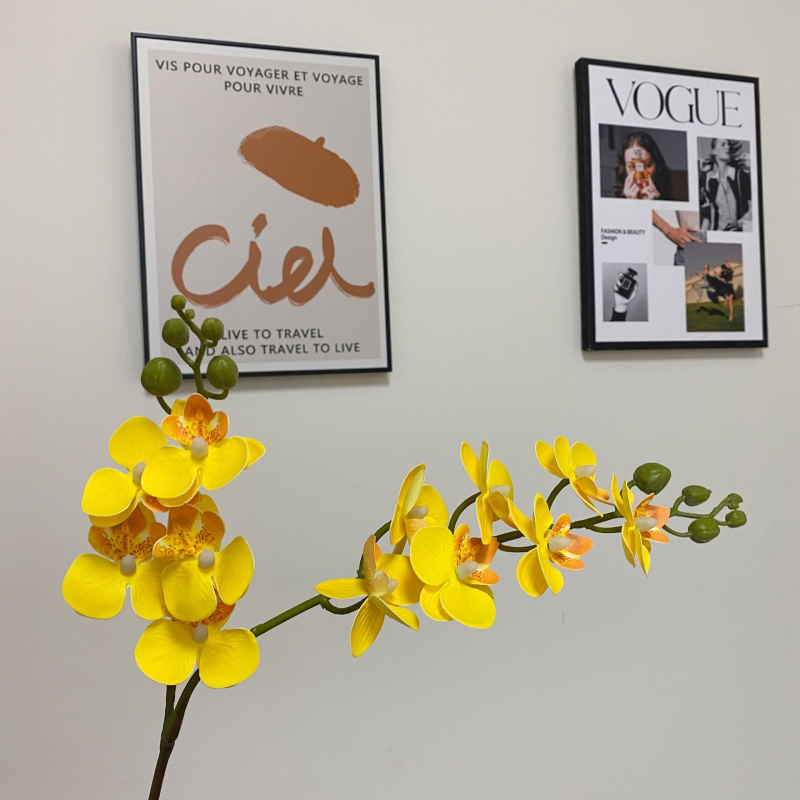 Mini umjetni Phalaenopsis cvijet – realistična dekoracija za dnevni boravak, stol za kavu ili TV ormarić