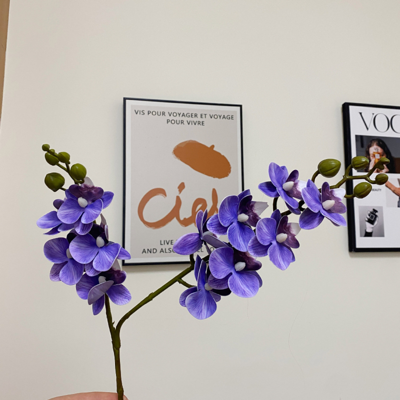 Mini umjetni Phalaenopsis cvijet – realistična dekoracija za dnevni boravak, stol za kavu ili TV ormarić