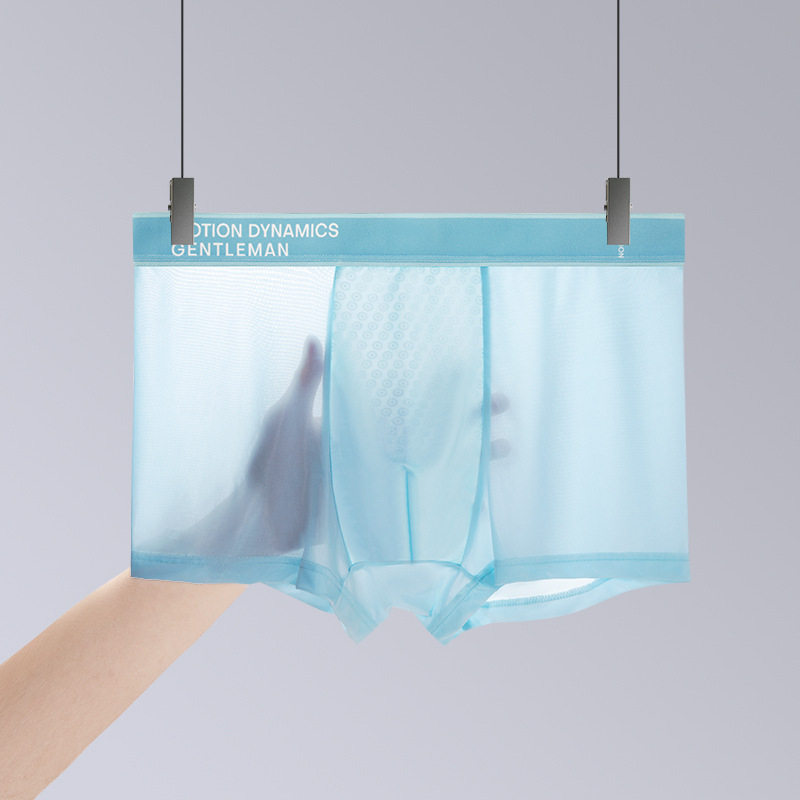 Muške bokserice od Ice Silk: prozračne, svilenkasto mekane, antibakterijske, jednobojne, lagane