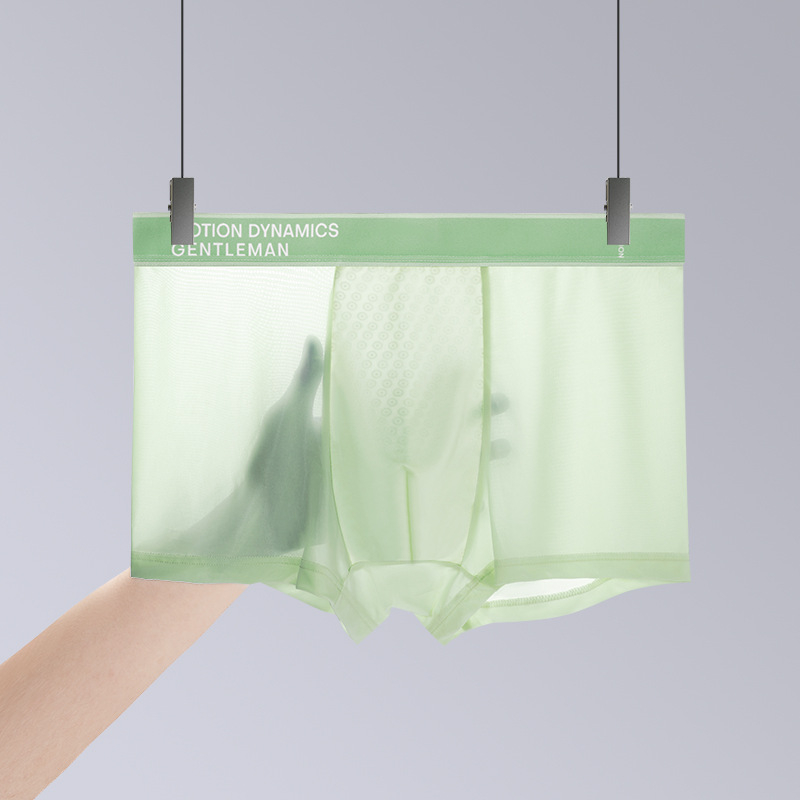 Muške bokserice od Ice Silk: prozračne, svilenkasto mekane, antibakterijske, jednobojne, lagane