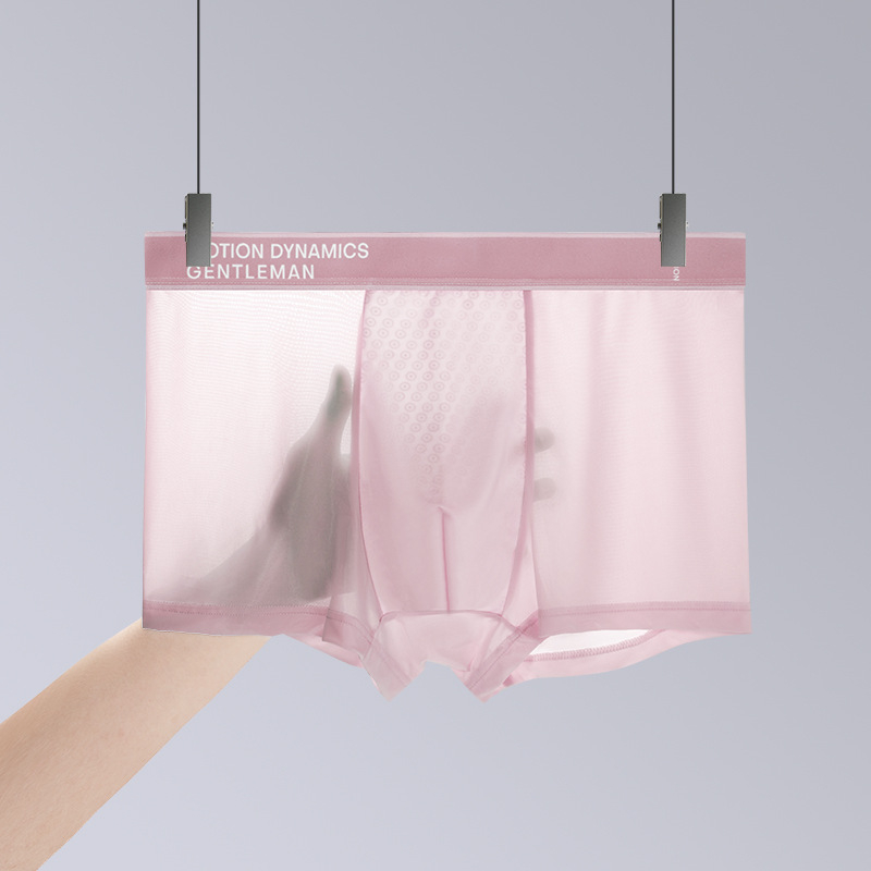 Muške bokserice od Ice Silk: prozračne, svilenkasto mekane, antibakterijske, jednobojne, lagane