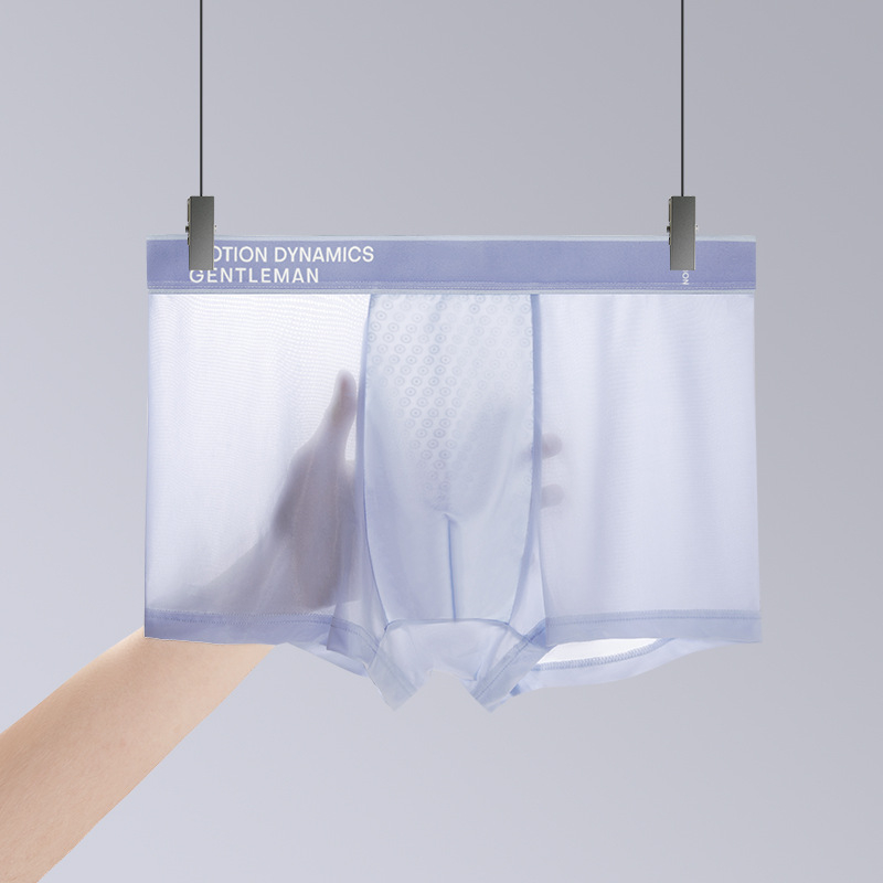 Muške bokserice od Ice Silk: prozračne, svilenkasto mekane, antibakterijske, jednobojne, lagane