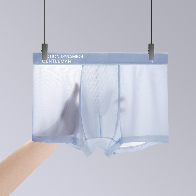 Muške bokserice od Ice Silk: prozračne, svilenkasto mekane, antibakterijske, jednobojne, lagane