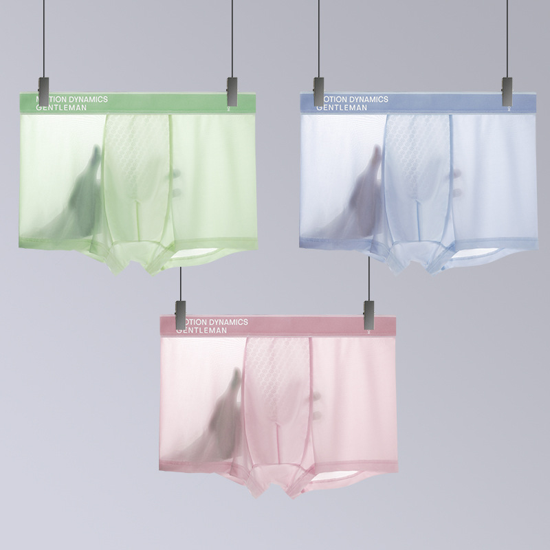 Muške bokserice od Ice Silk: prozračne, svilenkasto mekane, antibakterijske, jednobojne, lagane