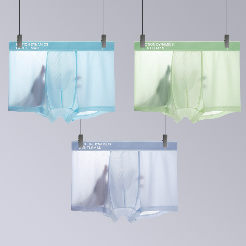 Muške bokserice od Ice Silk: prozračne, svilenkasto mekane, antibakterijske, jednobojne, lagane
