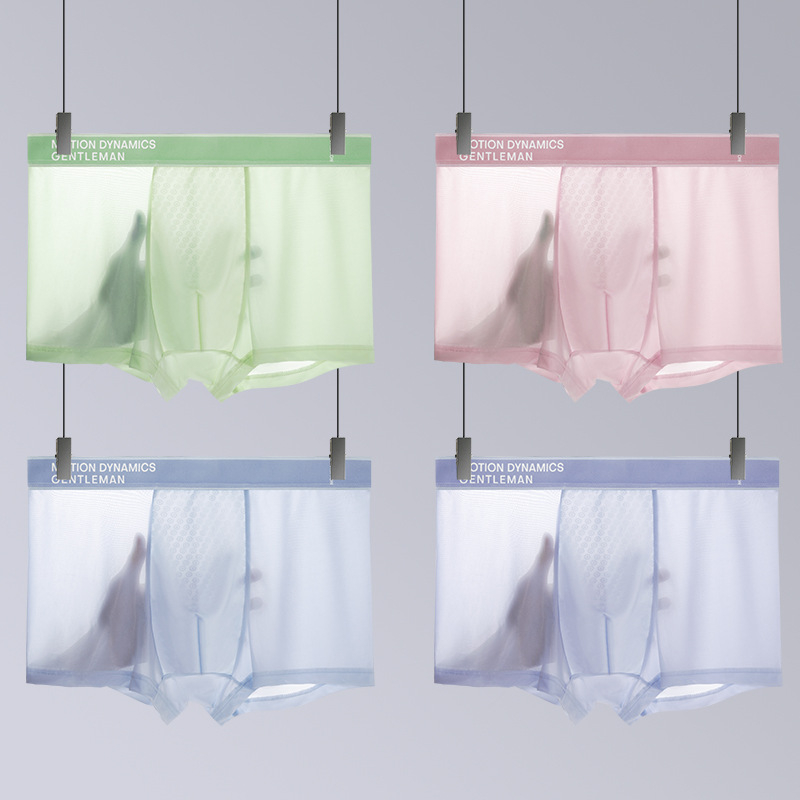 Muške bokserice od Ice Silk: prozračne, svilenkasto mekane, antibakterijske, jednobojne, lagane