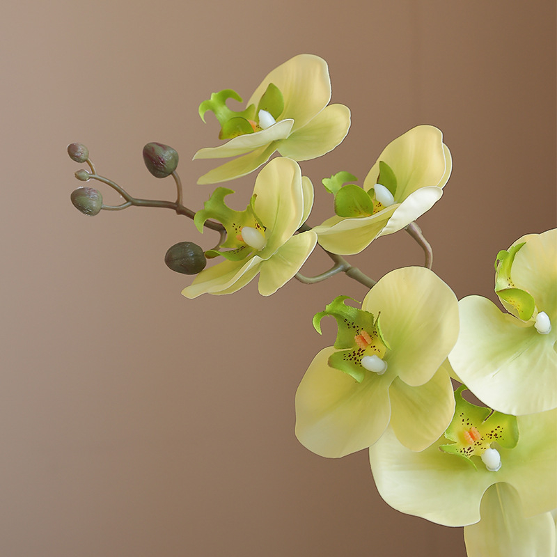 Umetna orhideja Phalaenopsis s mokrim efektom, visokokvalitetnim filmskim premazom, dekoracija za dom i hotelske showroome