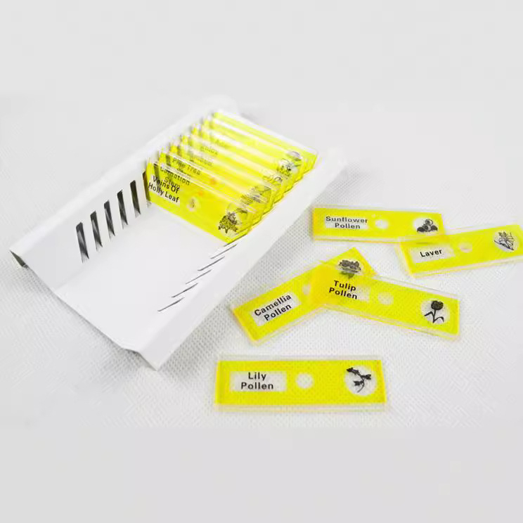 Microscop pentru copii cu 12 slide-uri și accesorii pentru specimene animale, plante și insecte – kit de biologie