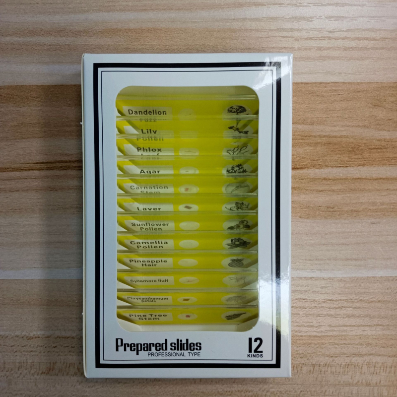 Microscop pentru copii cu 12 slide-uri și accesorii pentru specimene animale, plante și insecte – kit de biologie