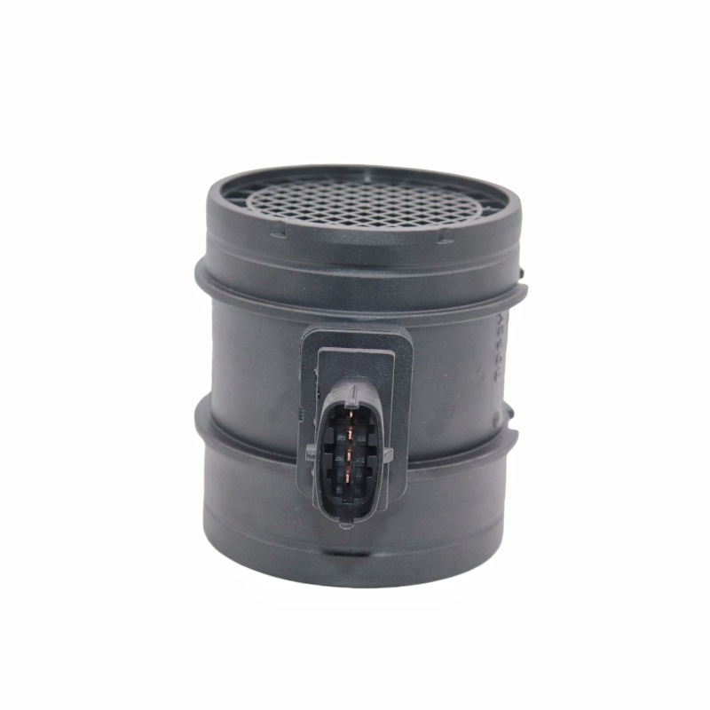 Bosch senzor protoka zraka za lakši teretni automobil Great Wall Jinbei Futian Jiefang 0281002923