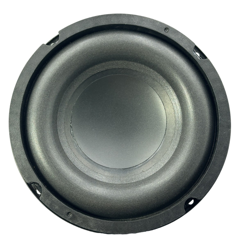 6,5 inčni vanjski vodootporni subwoofer s jakim magnetom i dubokim basom