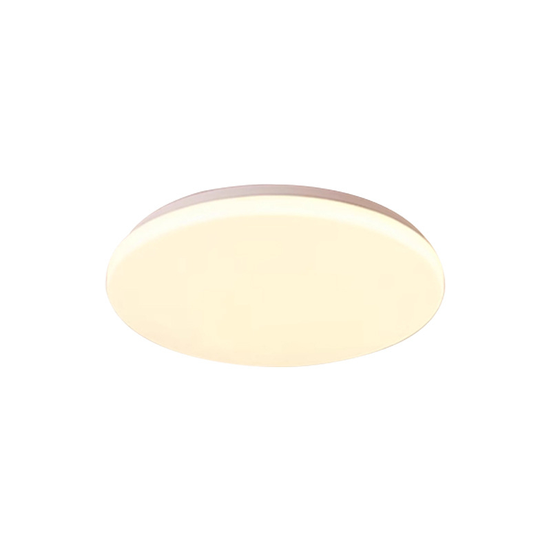 LED stropno svjetlo, okruglo, potpuno bijelo, minimalistički dizajn, visoka svjetlina, 220V, za spavaću sobu, balkon i hodnik